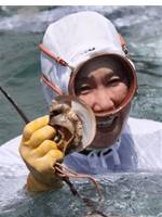 志摩の海に沈んだ母