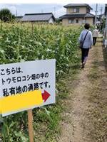 近道看板の逆襲