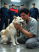 死刑執行直前、1匹の犬が見つけた「8年前の嘘」