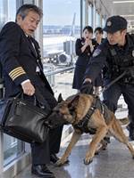 搭乗直前、警察犬が機長に飛びかかった――10時32分、空港全便が止まった理由