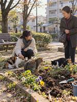 消えた子猫と、花壇の頑固おじさん