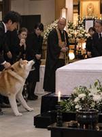 棺の中で眠る娘と、吠え続けた秋田犬