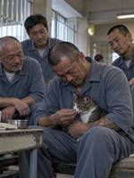 凶悪犯と殺処分寸前の猫